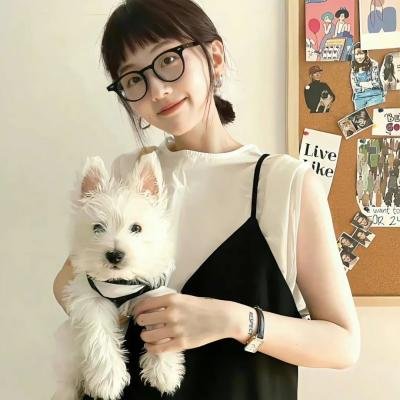 妙警贼探第五季